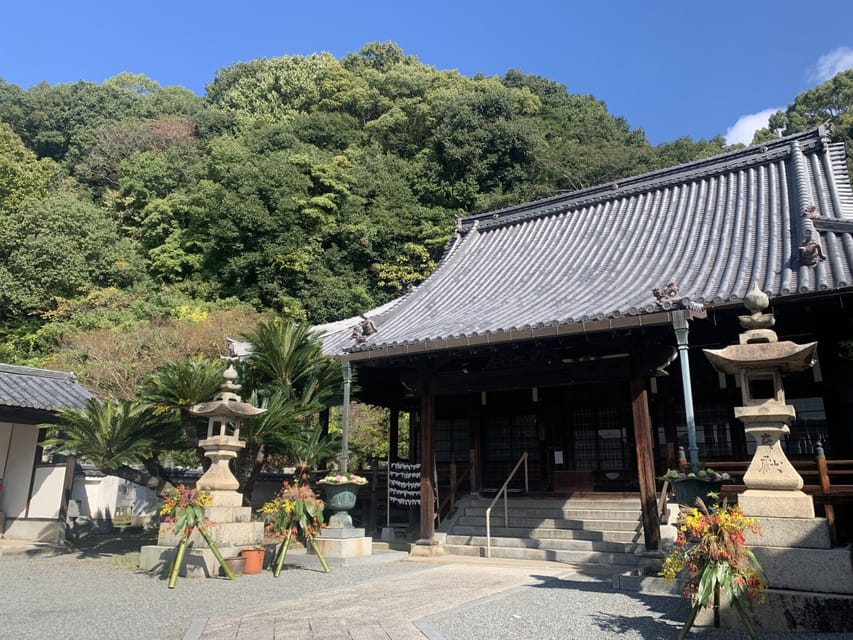From Hiroshima: Rabbit Island and Takehara Town Tour - Free time with rabbits, bikes, and hot springs
