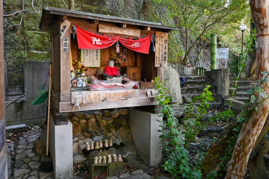 From Hiroshima: Rabbit Island and Takehara Town Tour - Transport, timing, and practical comfort