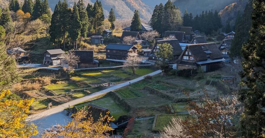 From Kanazawa: Shirakawa-go, Gokayama and Wood Carving Art - Inami: a town where the buildings do the talking
