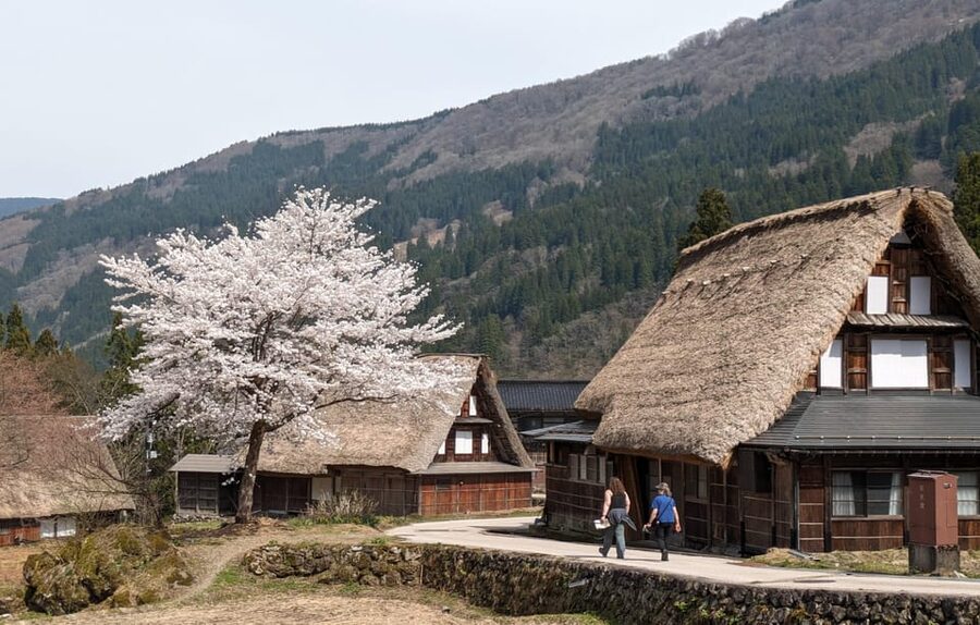 From Kanazawa: Shirakawa-go, Gokayama and Wood Carving Art - Shirakawa-go: beautiful, famous, and busier