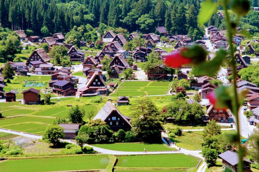 From Kanazawa: Shirakawago, Hida-Furukawa and Takayama Visit - Should you book this Kanazawa to Takayama tour?