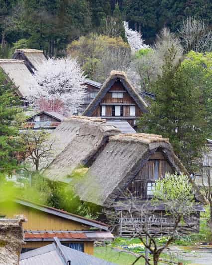 From Kanazawa/Toyama: Shirakawago and Takayama Day Tour - Why this private route works so well