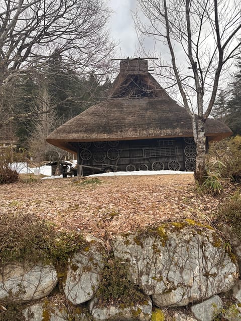From Kanazawa/Toyama: Shirakawago and Takayama Day Tour - Price, group size, and real value