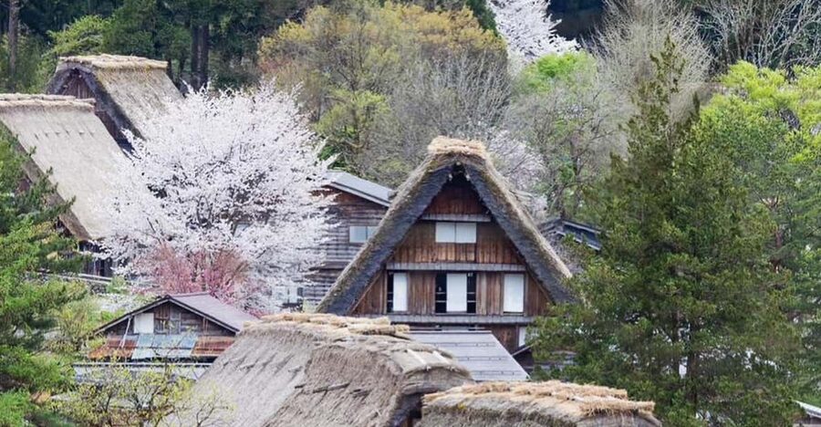 From Kanazawa/Toyama: Shirakawago and Takayama Day Tour - Who should book this day tour?