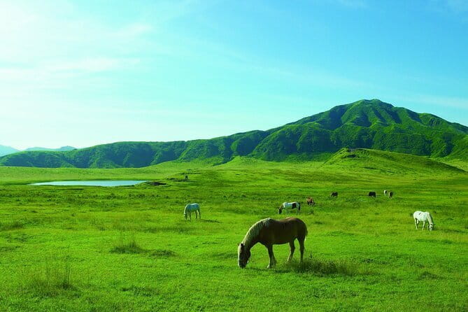 From Kumamoto : Mt.Aso and Takachiho All-inclusive Private Tour - Leaving Kumamoto for the Aso caldera