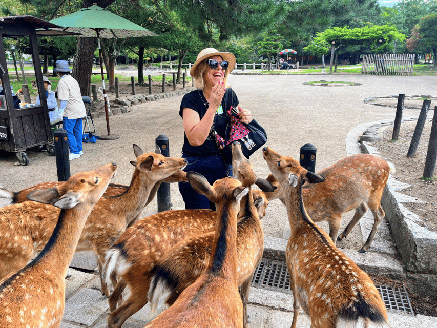 From Kyoto: Nara Guided Morning Tour - Key points to know before you book
