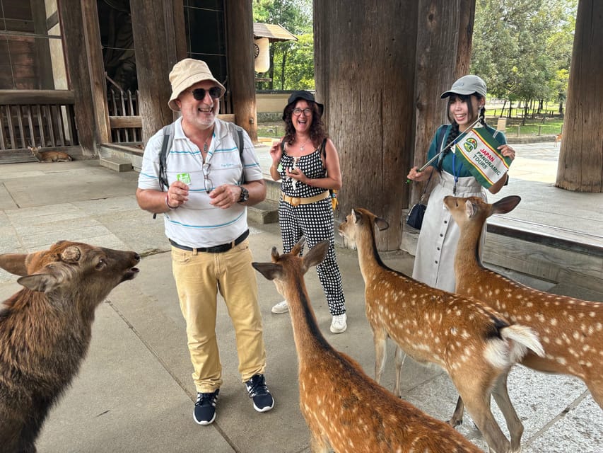 From Kyoto: Nara Guided Morning Tour - Kasuga Taisha and its lantern-lined approach