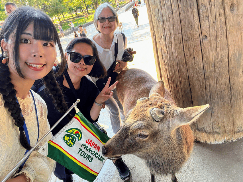From Kyoto: Nara Guided Morning Tour - The important return trip to Kyoto