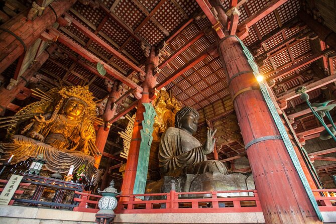 From Kyoto: Nara History Guided Half Day Bus Tour with lunch - Meeting at Kyoto Station before 7:45 a.m.