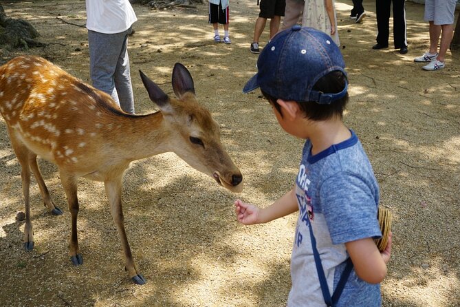 From Kyoto: Nara History Guided Half Day Bus Tour with lunch - Japanese-style lunch and a little shopping