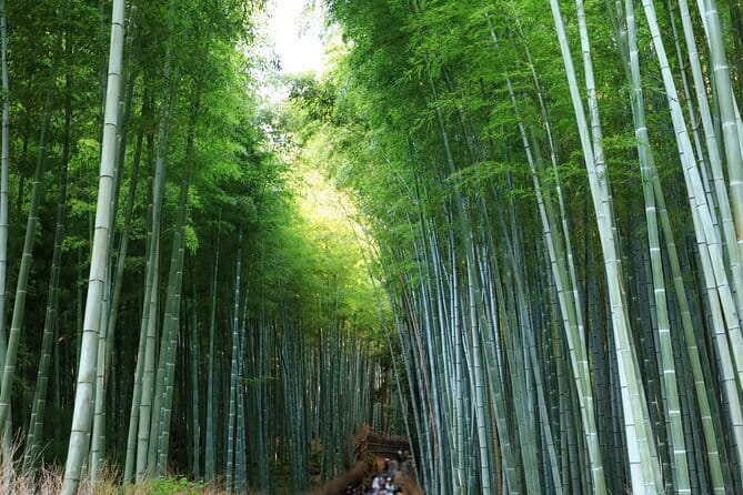 From Kyoto / Osaka: Kyoto Must-see Spots & Nara Park One Day Tour - What this Kyoto and Nara day trip is really designed to do