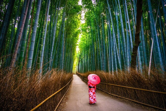 From Kyoto / Osaka: Kyoto Must-see Spots & Nara Park One Day Tour - Nara Park: deer first, temples by location