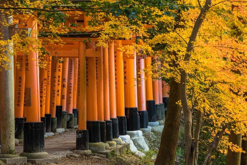 From Kyoto/Osaka: Kyoto Top Highlights 1-Day Guided Bus Tour - Who should book this Kyoto day trip?