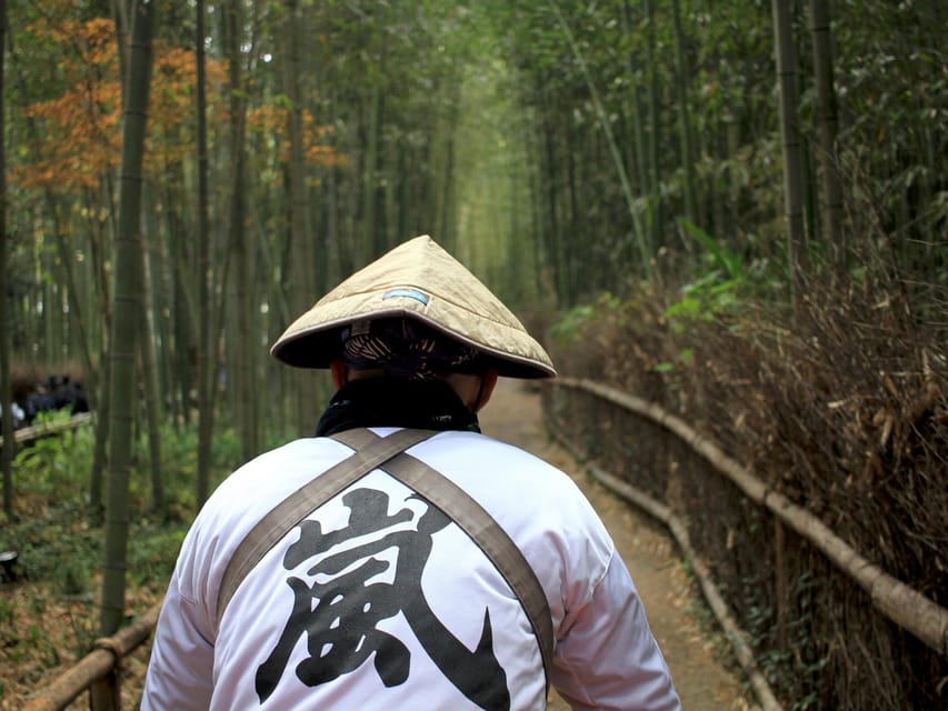 From Kyoto/Osaka: Kyoto Top Highlights 1-Day Guided Bus Tour - Arashiyama and the Sagano Bamboo Forest