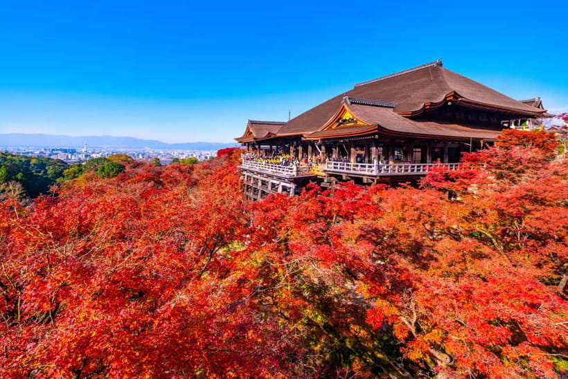 From Kyoto/Osaka: Kyoto Top Highlights 1-Day Guided Bus Tour - The route changes from April 1