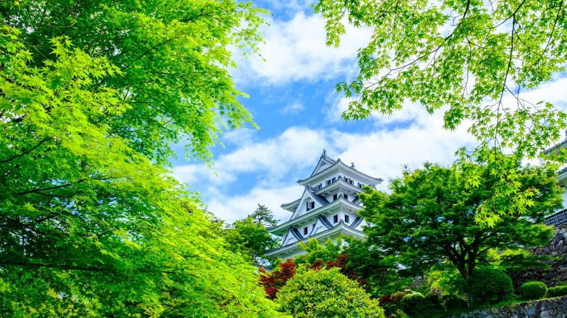 From Nagoya: Gujo, Hida Takayama, and Shirakawa-go Day Tour - How the guiding works in practice