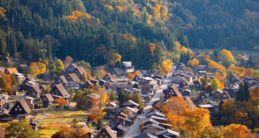 From Nagoya: Hida Takayama & Shirakawa-go Tour w/Opt. Lunch - Shirakawa-go and its steep thatched roofs