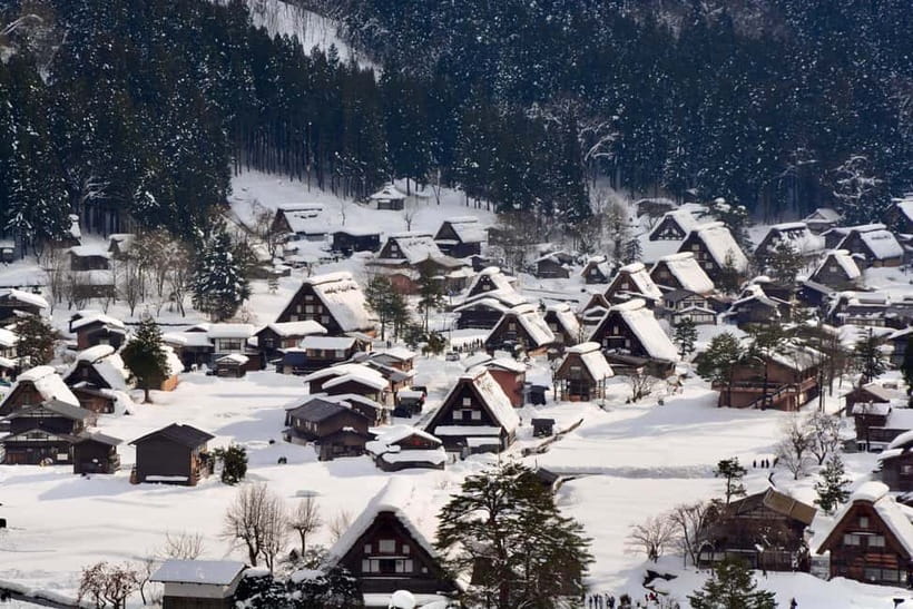 From Nagoya: Hida Takayama & Shirakawa-go Tour w/Opt. Lunch - What the guides add to a self-guided visit