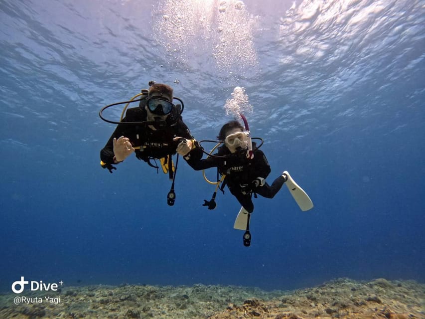 From Naha Scuba Diving Trip in Kerama(for certified divers) - Should you pay for the third session?