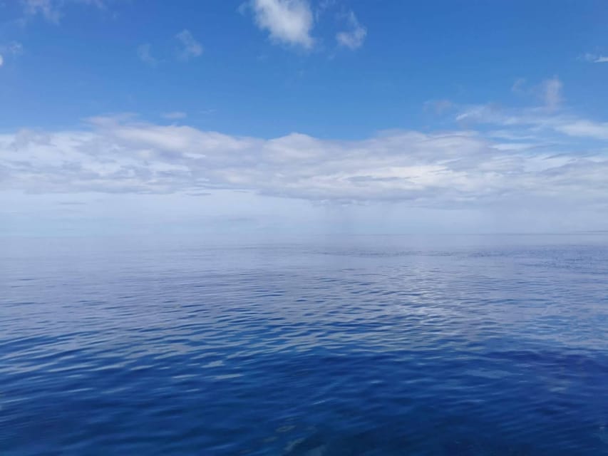 From Naha Scuba Diving Trip in Kerama(for certified divers) - Equipment, wetsuit fit, and underwater photos