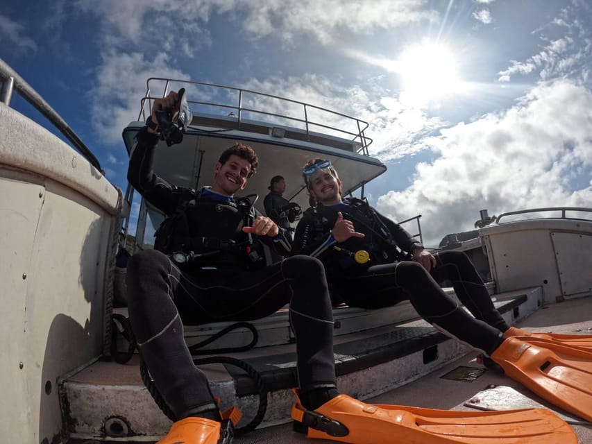 From Naha Scuba Diving Trip in Kerama(for certified divers) - Who will enjoy this day, and who should skip it