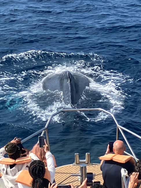 From Naha: Whale Watching with Pickup and English Guide - Meeting the boat at Miegusuku Port