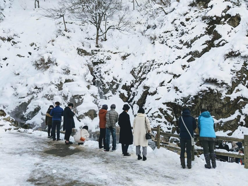 From Nozawa Onsen: Snow Monkeys and Zenko-ji Day Trip & Sake - Who will enjoy this day most