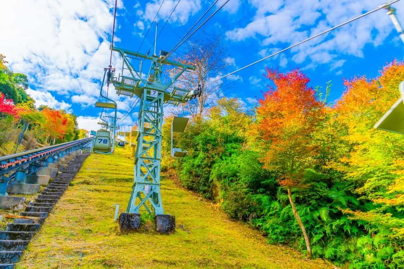From Osaka: Amanohashidate and Ine Bay Day Trip - Ine’s funaya and the 25-minute bay cruise