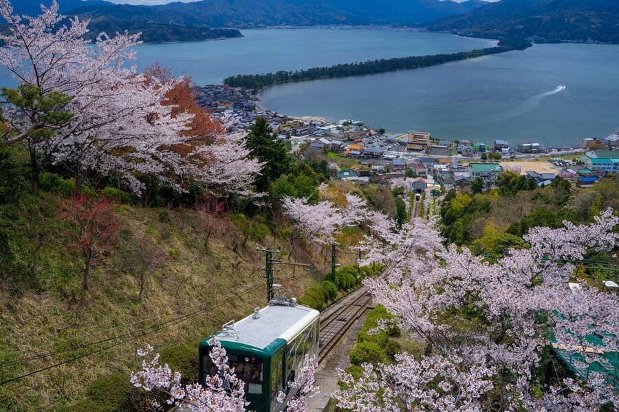From Osaka: Amanohashidate and Ine Bay Day Trip - Who will enjoy this day most