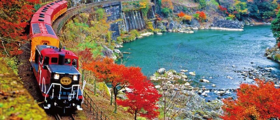 From Osaka: Kyoto, Nara, Fushimi Inari & Arashiyama Day Tour - The Sagano Romantic Train option