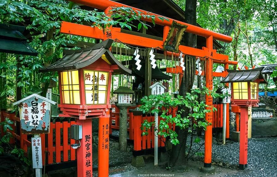 From Osaka: Kyoto, Nara, Fushimi Inari & Arashiyama Day Tour - Nara Park and the famous bowing deer
