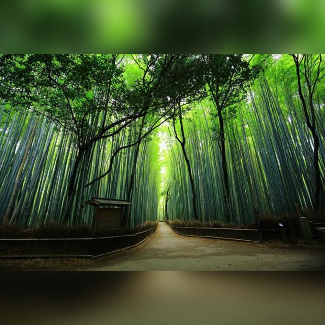 From Osaka/Kyoto: Private Kyoto & Nara Day Trip with Pickup - Tōdai-ji and the Great Buddha Hall