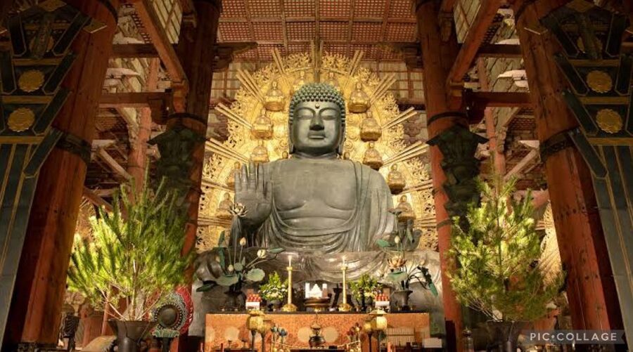 From Osaka/Kyoto: Private Kyoto & Nara Day Trip with Pickup - What your driver-host actually does