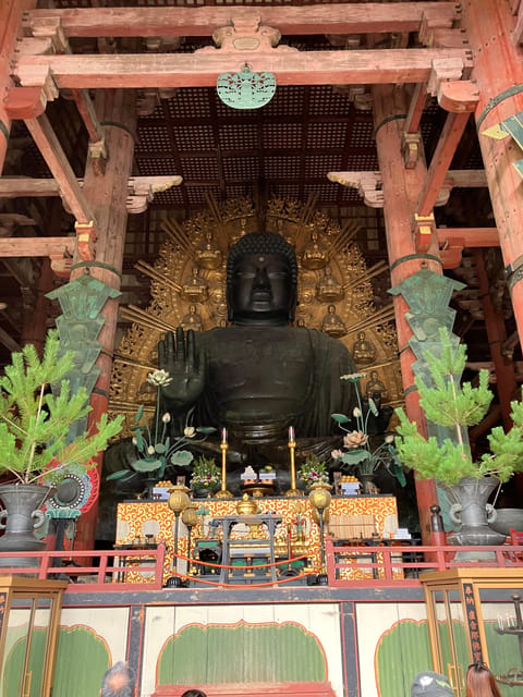 From Osaka: Nara Private Tour with Meet-Up at Your Hotel - Why Nara makes a strong escape from Osaka