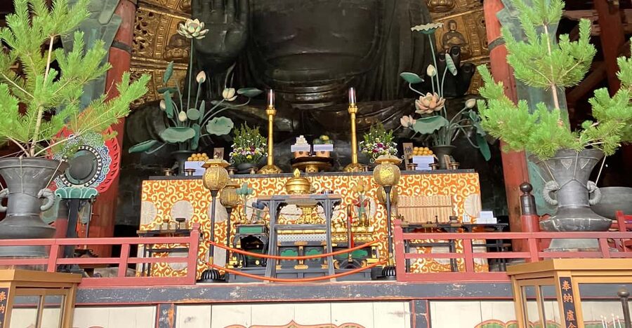 From Osaka: Nara Private Tour with Meet-Up at Your Hotel - Meeting Nara’s deer in the park