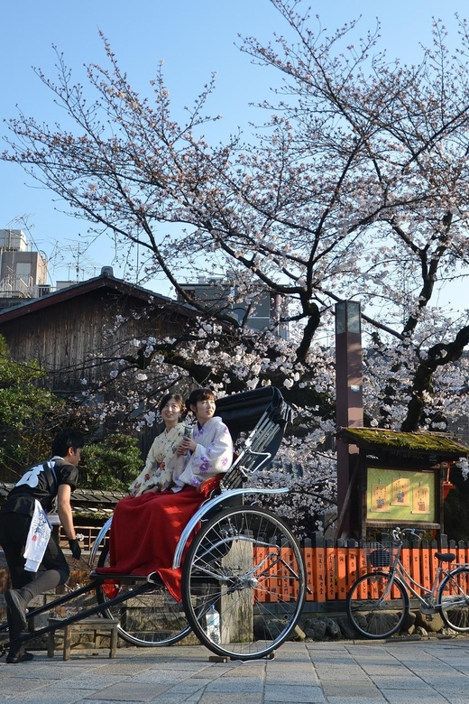 From Osaka: Private Customized Day Tour to Kyoto - What the driver does, and what the driver does not do