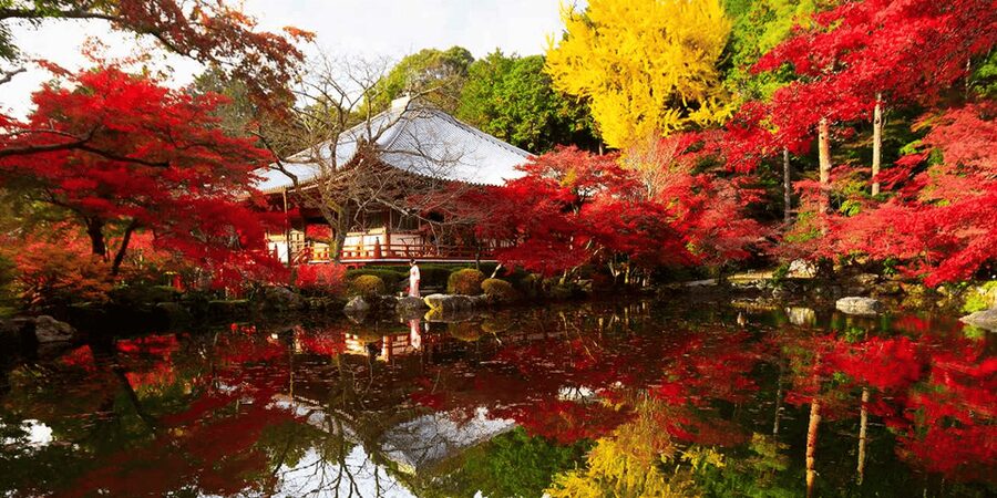 From Osaka: Private Customized Day Tour to Kyoto - The ride from Osaka to Kyoto