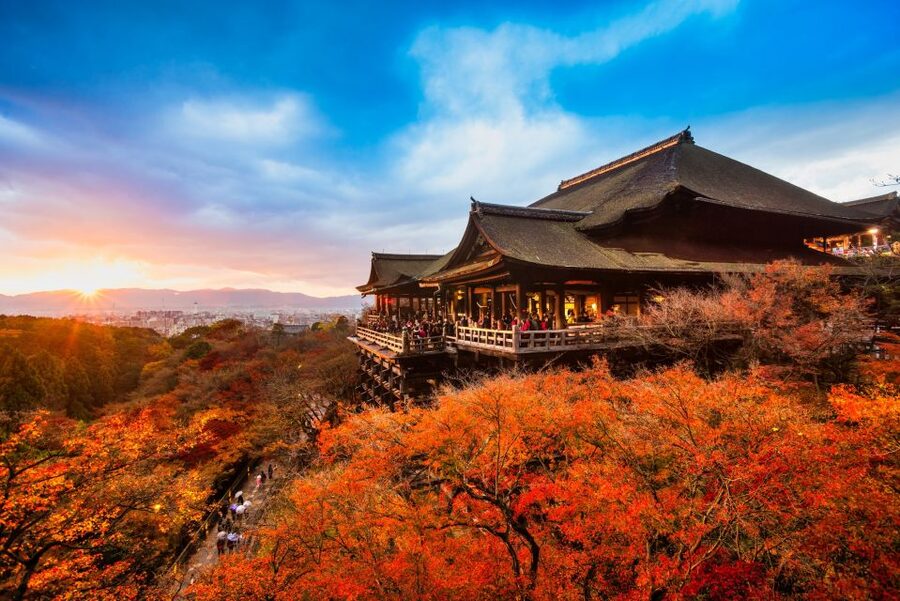 From Osaka: Sagano Train Ride and Kyoto Guided Day Tour - Fushimi Inari’s endless red gates