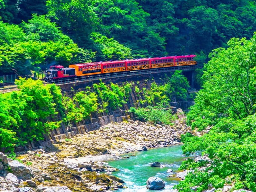 From Osaka: Sagano Train Ride and Kyoto Guided Day Tour - Who should book this tour?