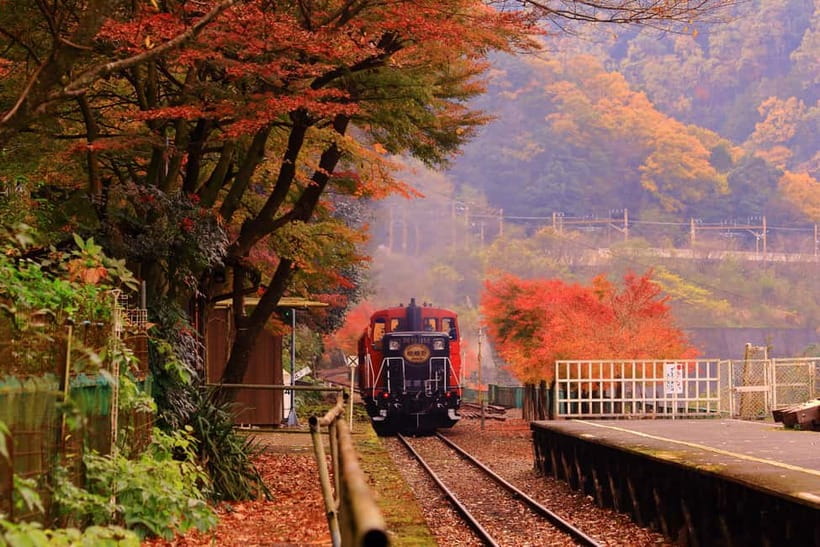 From Osaka: Sagano Train Ride and Kyoto Guided Day Tour - Arashiyama bamboo and the Katsura River