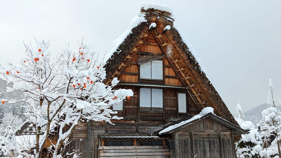 From Takayama: Guided Day Trip to Takayama and Shirakawa-go - Sanmachi’s wooden streets and merchant houses