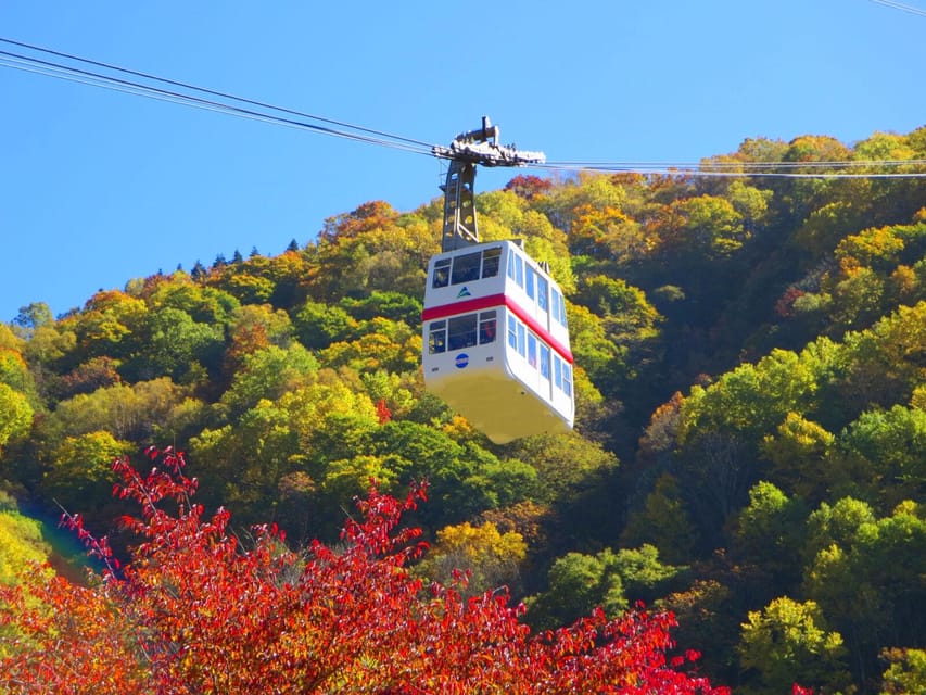 From Takayama: Shinhotaka Ropeway and Kamikochi tour - Why this Takayama day trip works so well