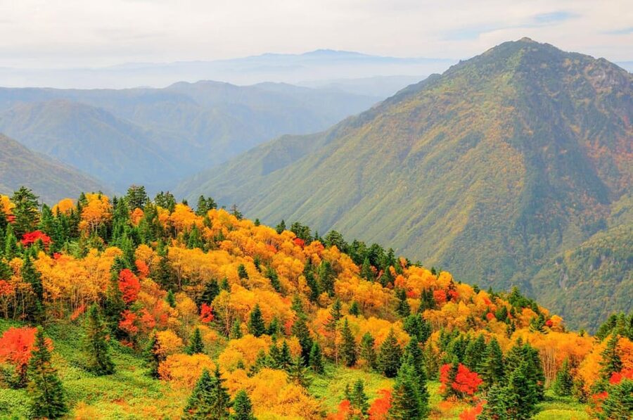 From Takayama: Shinhotaka Ropeway and Kamikochi tour - The 360-degree view at the summit