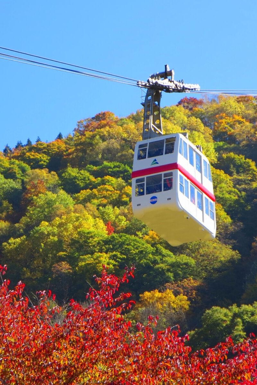 From Takayama: Shinhotaka Ropeway and Kamikochi tour - Entering Kamikochi by Taisho Pond