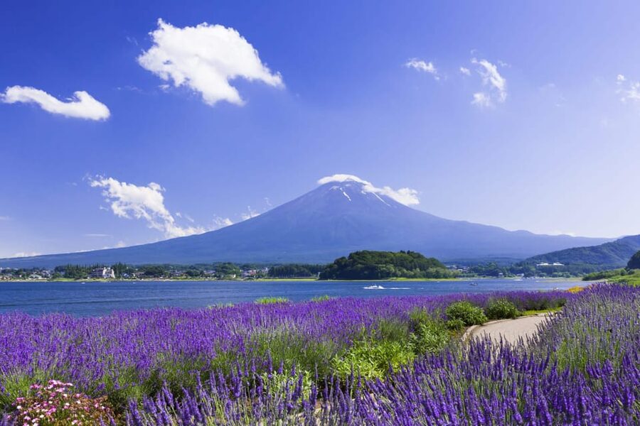 From Tokyo: Fuji Mountain Area - FujiQ - Lake Kawaguchiko - Chureito Pagoda - Why this private Fuji day works well from Tokyo