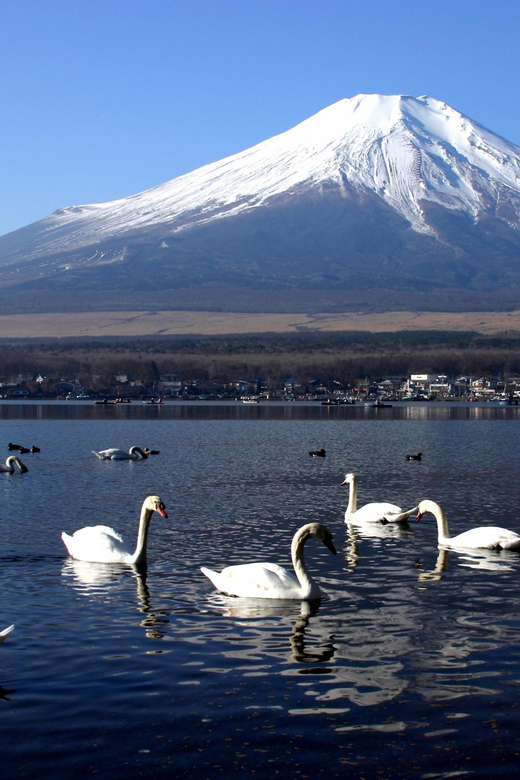 From Tokyo: Fuji Mountain Area - FujiQ - Lake Kawaguchiko - Chureito Pagoda - What the guides add to the experience