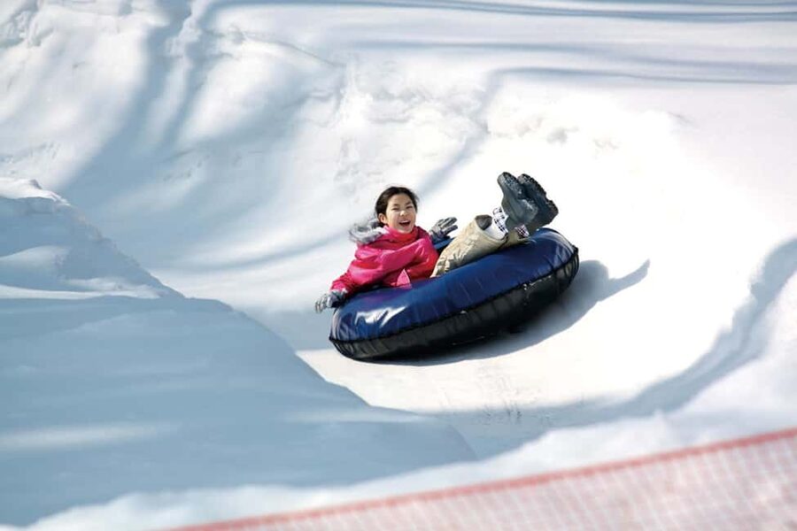 From Tokyo: Fujiyama Snow Resort Yeti Winter Ski Day Tour - Clothing and equipment costs to plan around