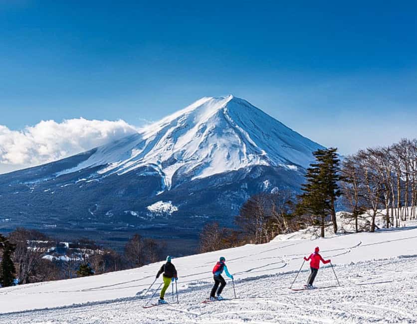 From Tokyo: Fujiyama Snow Resort Yeti Winter Ski Day Tour - Who should book this Tokyo snow day