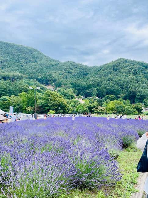 From Tokyo: Full-Day Mount Fuji Tour in English or Spanish - Key points at a glance