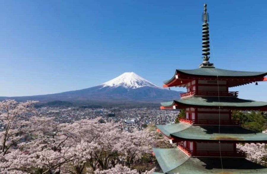 From Tokyo: Full-Day Mount Fuji Tour in English or Spanish - Honcho Street and the famous Fuji-framed view